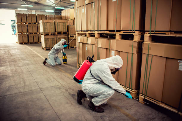 Best Flea Control Services  in Sheldon, IA