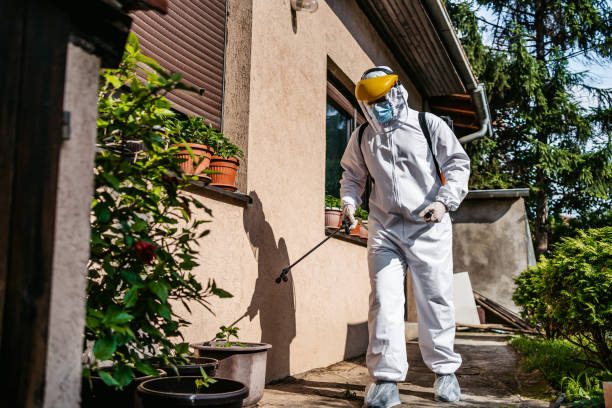 Best Pest Removal Services  in Sheldon, IA