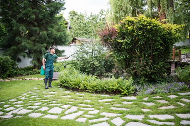 Wasp Removal Services in Sheldon, IA