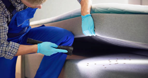 Best Emergency Pest Control  in Sheldon, IA