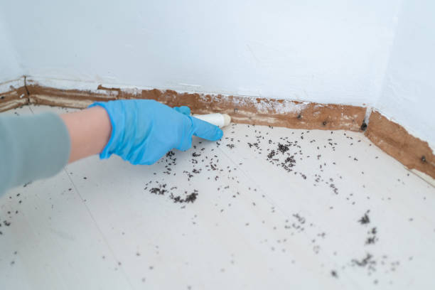 Best Commercial Pest Control Services  in Sheldon, IA