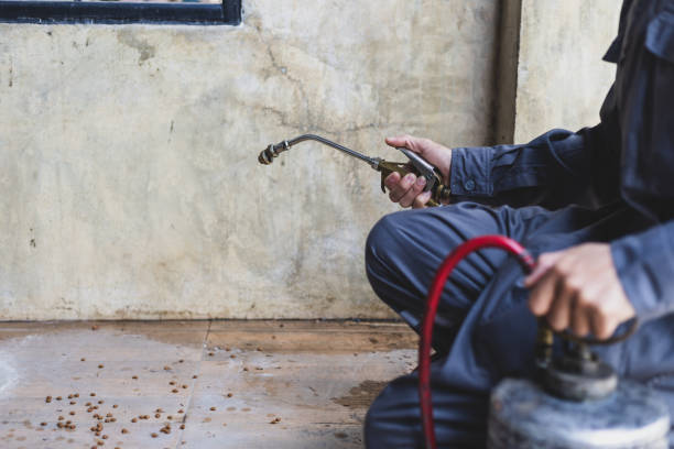 Best Pest Prevention Services  in Sheldon, IA